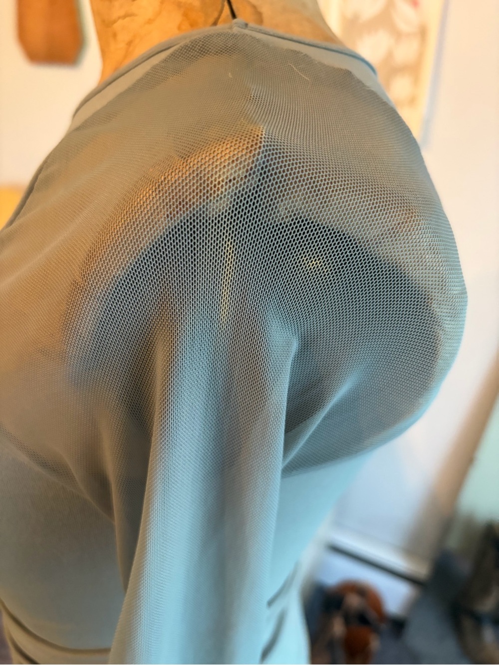 Free People Long Sleeve Top with Sheer Sleeves - Picture 6 of 8